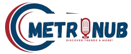 MetroNub Logo
